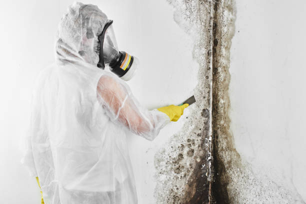 Best Residential Mold Inspection & Testing  in Spry, PA